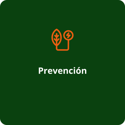 PREVENCIÓN