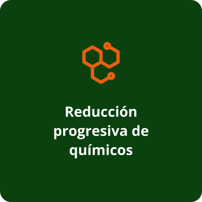 REDUCCIÓN PROGRESIVA
