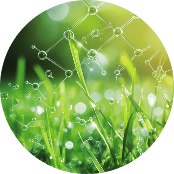 bioestimulantes