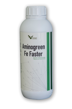 AMINOGREEN FE FASTER