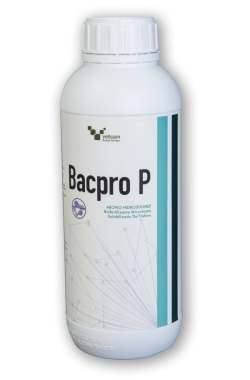 BACPRO P