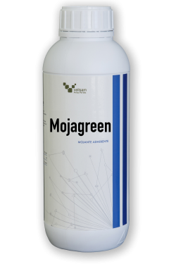 MOJAGREEN