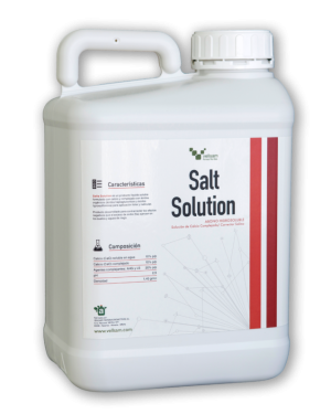 SALT SOLUTION