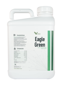 eagle green-2